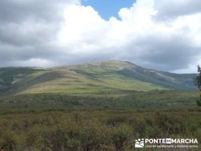 Majaelrayo - Pueblos arquitectura negra - Loma de la Peña de Bernardo - Pico Ocejón; material para